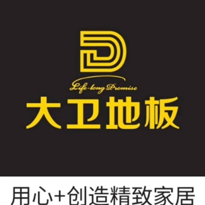 大卫地板&加拿大安派森地板